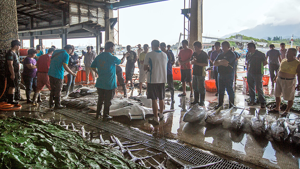 Auctions at the fish market