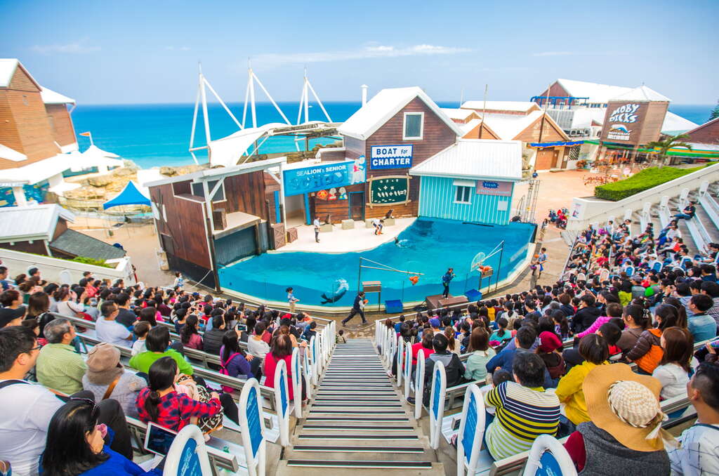 遠雄海洋公園的海獅秀