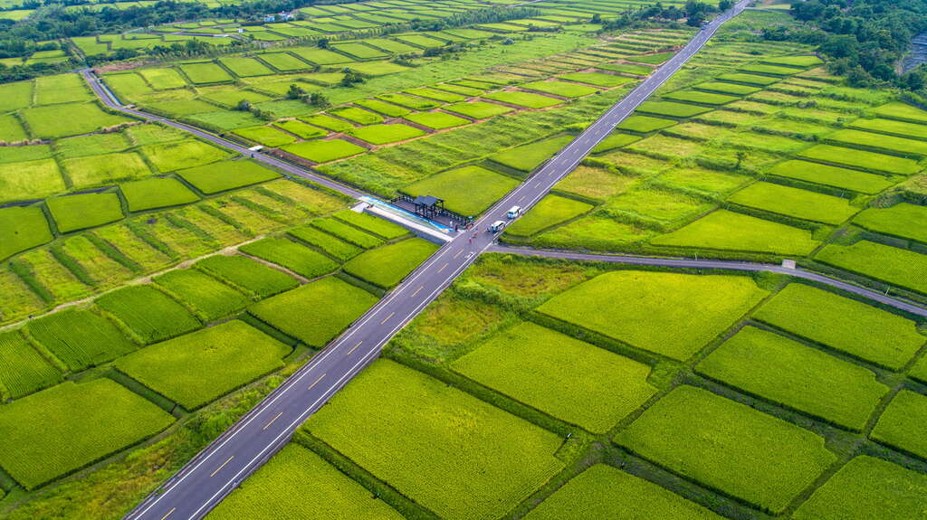 The Beautiful Terraces