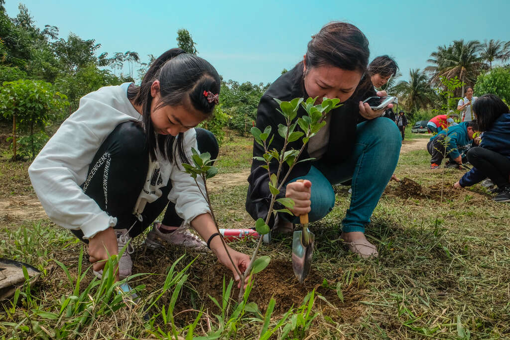 都蘭國小同學至阿度蘭農場植樹