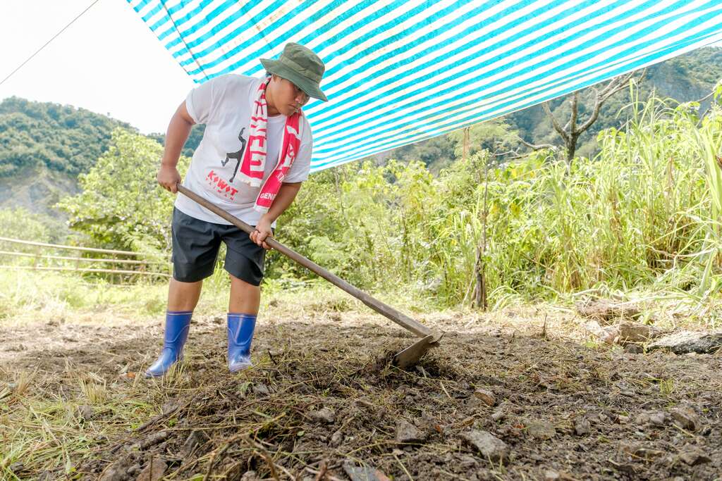 志工們將開墾草藥田從整地、翻土等開始進行