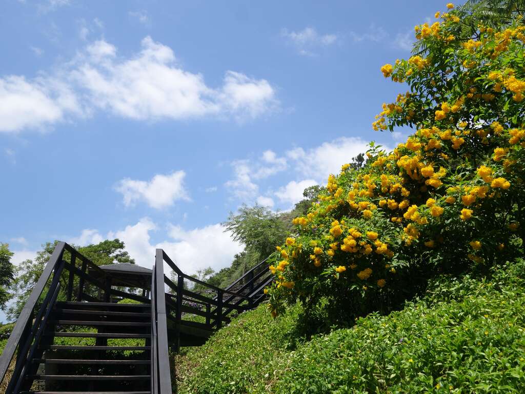 八仙洞步道