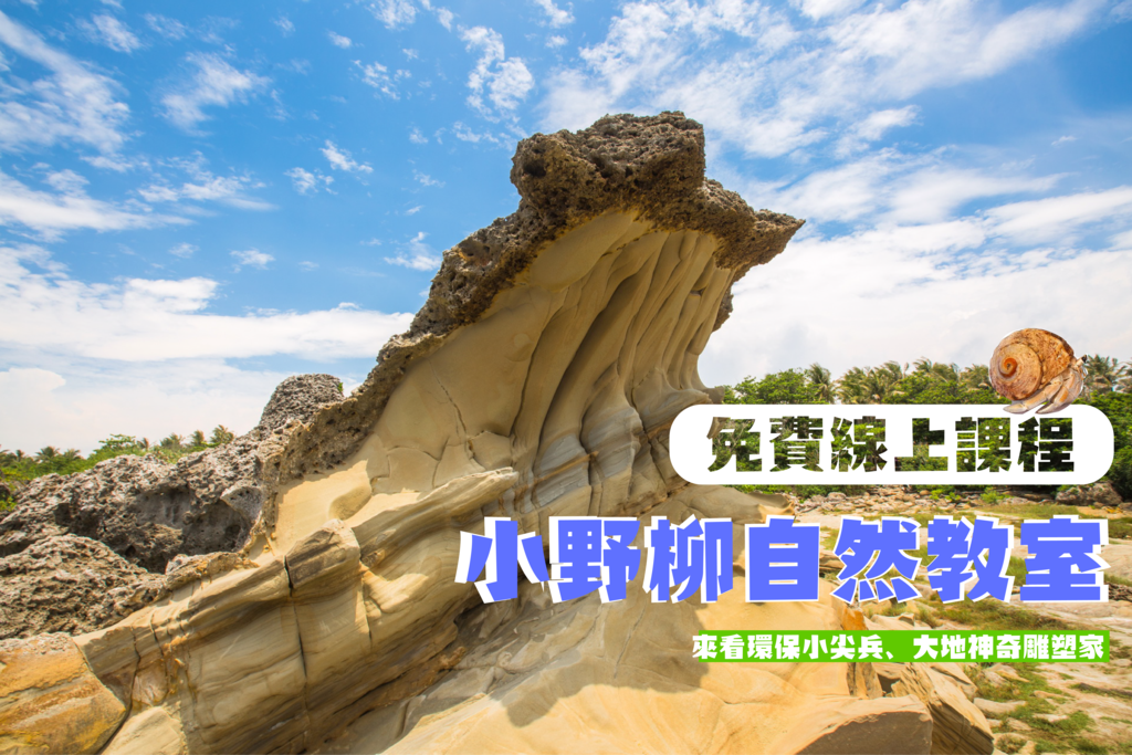 小野柳自然教室