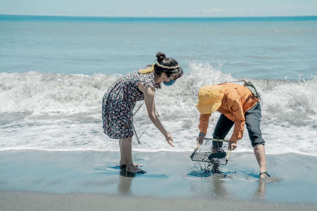 水璉換膚沙灘抓浪花蟹