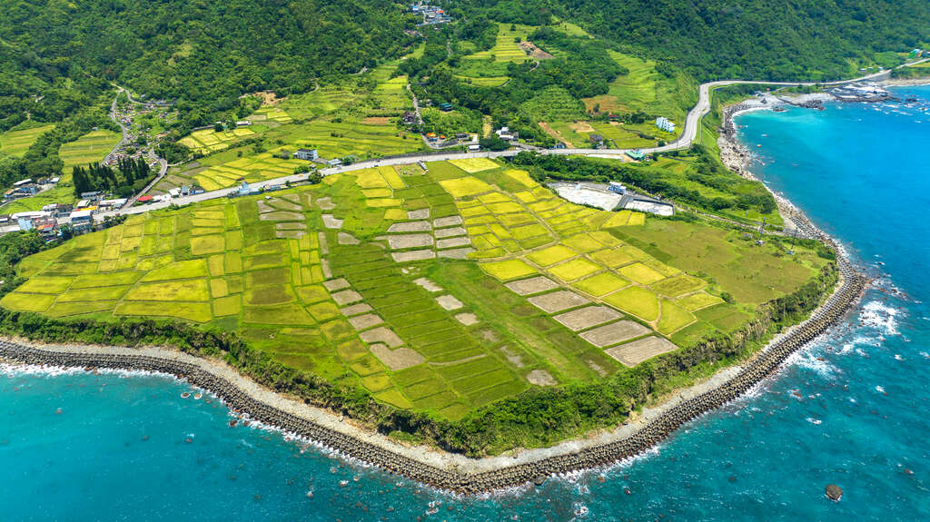 新社梯田是在面對太平洋的臺地上