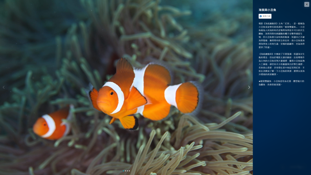 04_詳細介紹海洋生物與生態環境
