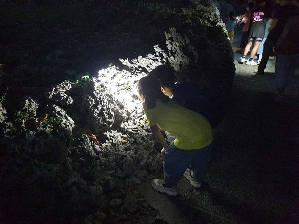 夜訪小野柳活動