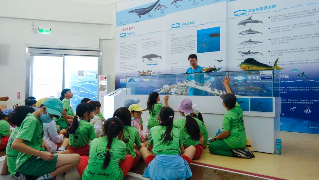 學員們參與「鯨聲鯨世」環境教育課程介紹海洋哺乳類動物