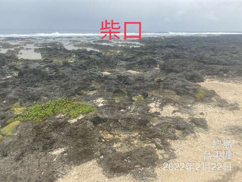 2022.02.22綠島站-柴口浮潛(3)