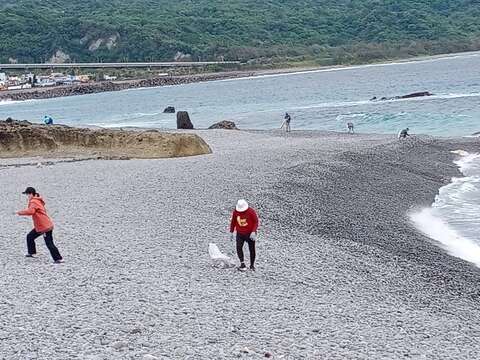 常態性淨灘活動