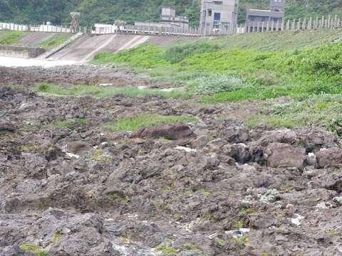 2023.07.25綠島-公館漁港(3)