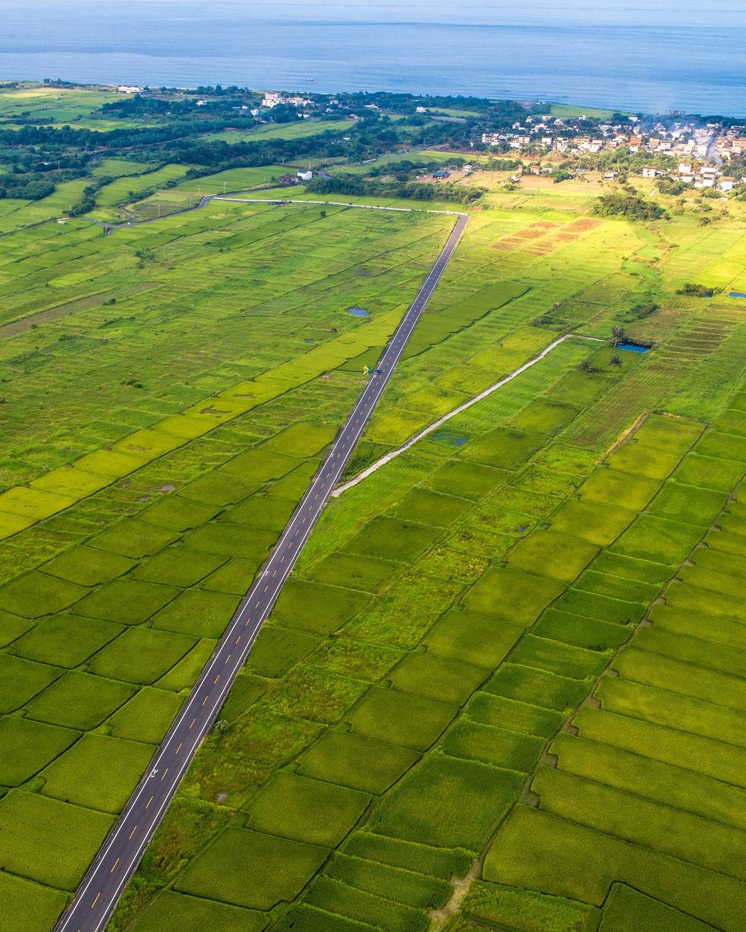 又美又直，一格一格像拼圖的稻田，每次看每次愛-歡迎在您的照片標記我們 @ecnsa讓更多人看見台灣最美東海岸在想投稿的照片上標註@...