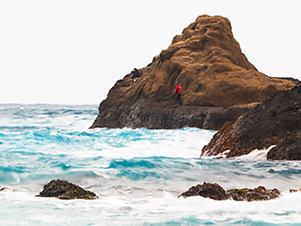 Rocky Coast Landforms