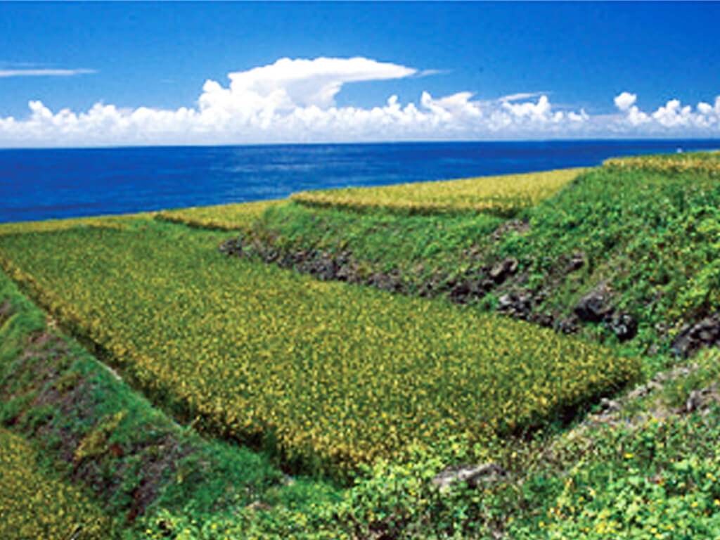 カバラン文化復興の地