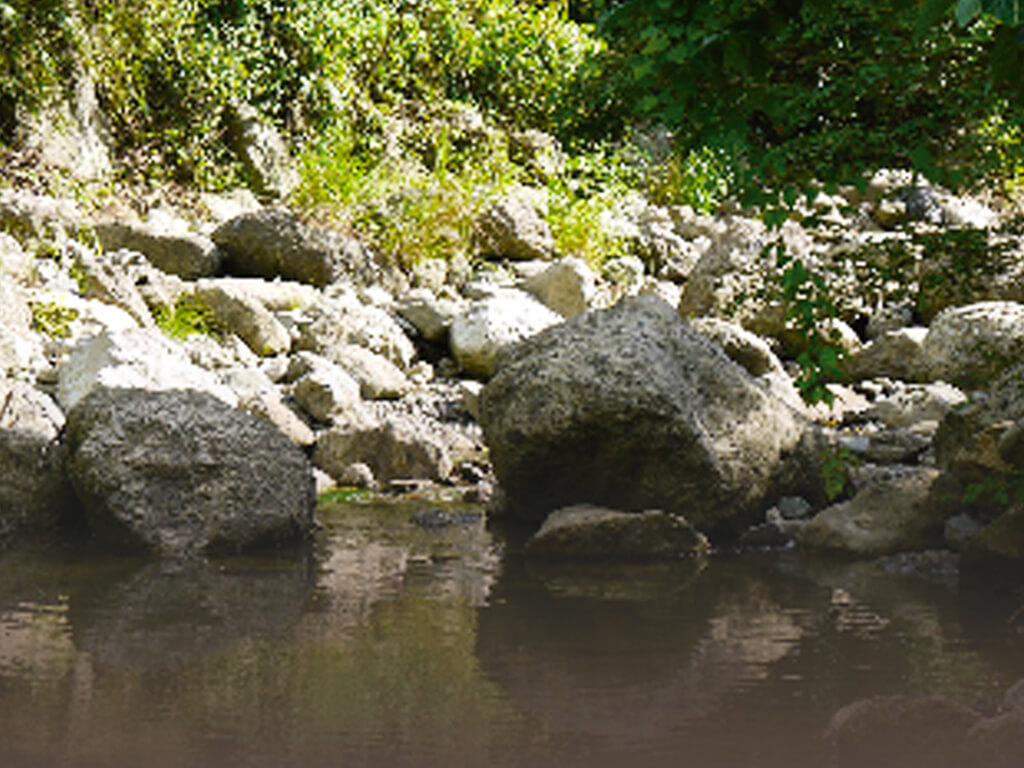 Fountainhead of Life