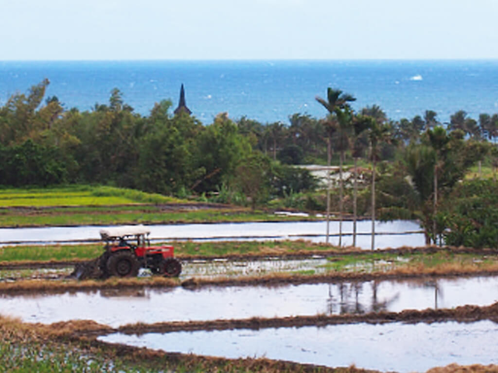 Ramble through the Countryside, Discover its Natural Beauty
