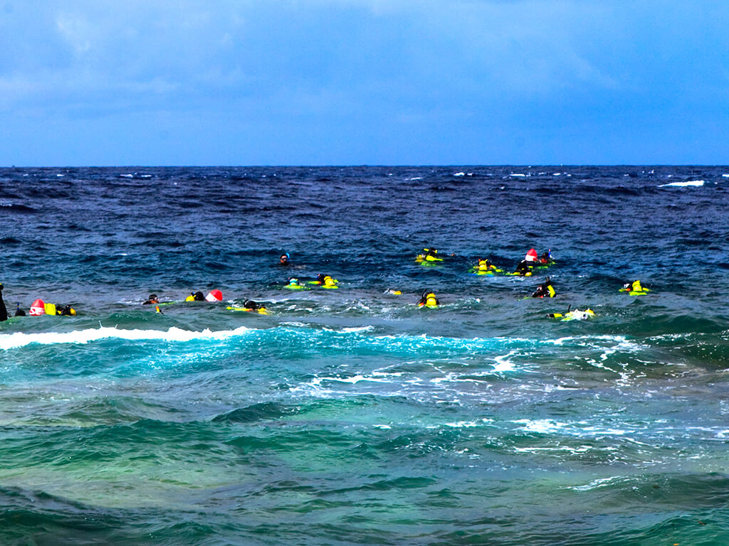Snorkeling