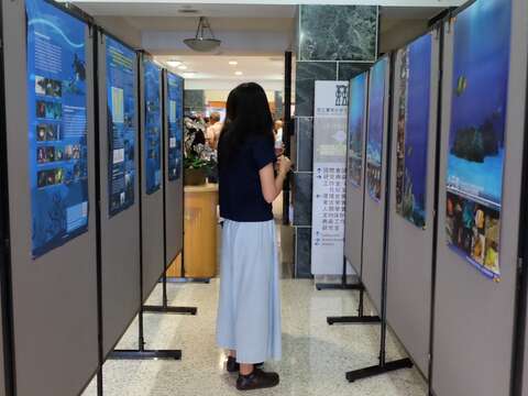 海洋永續論壇__歷年海域生態資源調查成果展