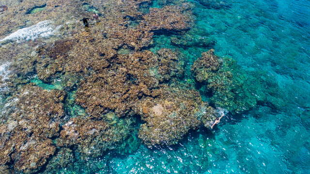 Chaikou Snorkeling Area