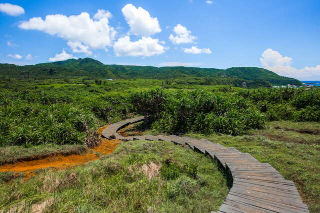 前往牛頭山山頂的步道