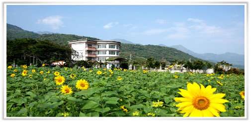 向日葵花海中的大統休閒旅館