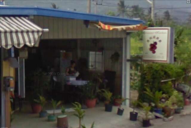 マリノキッチン(google)