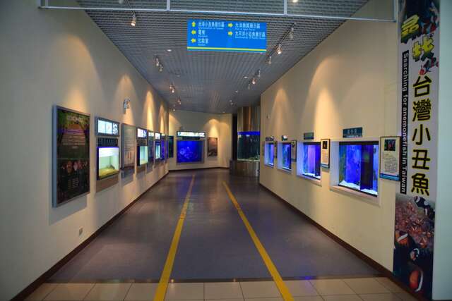 這是海洋生物展覽館展覽走道