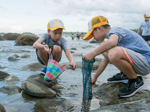在潮間帶認識生物，也學習部落採集貝類