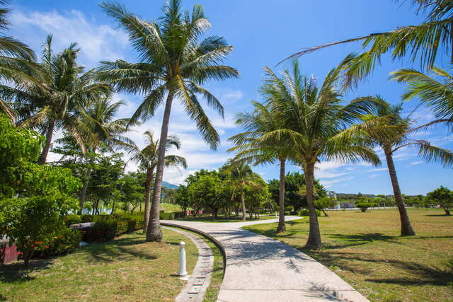 Coconut walking trail
