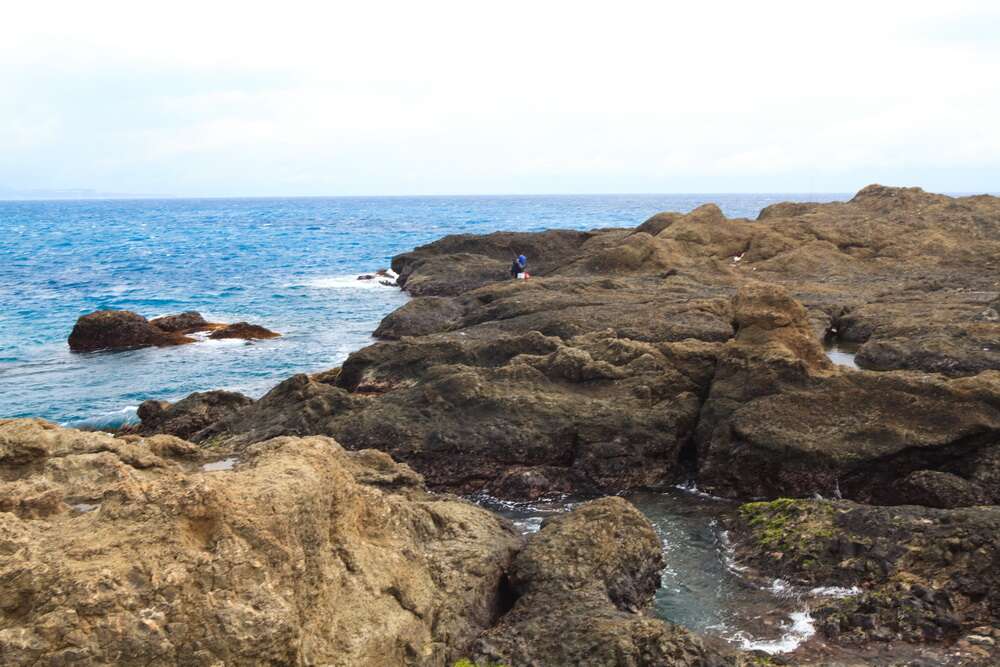 海上生態之旅