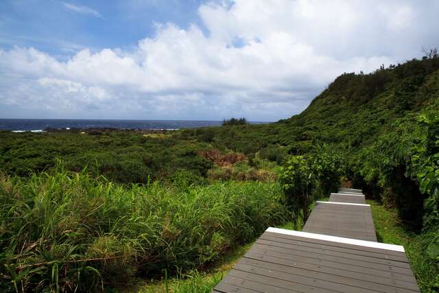 這是綠島露營區豐富的海濱植物