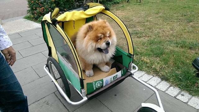 阿羅哈租車店