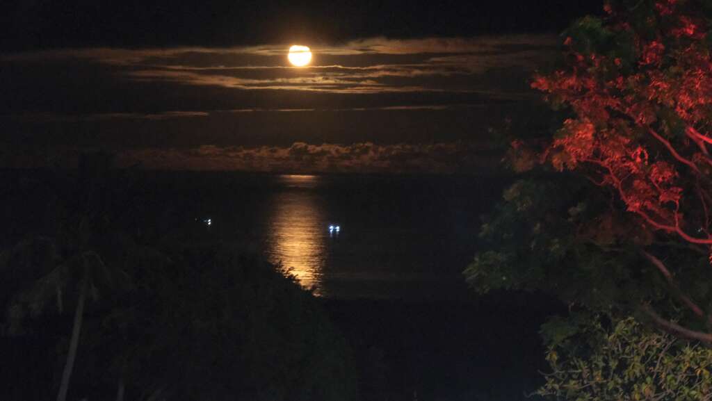 The Moonlight Sea
