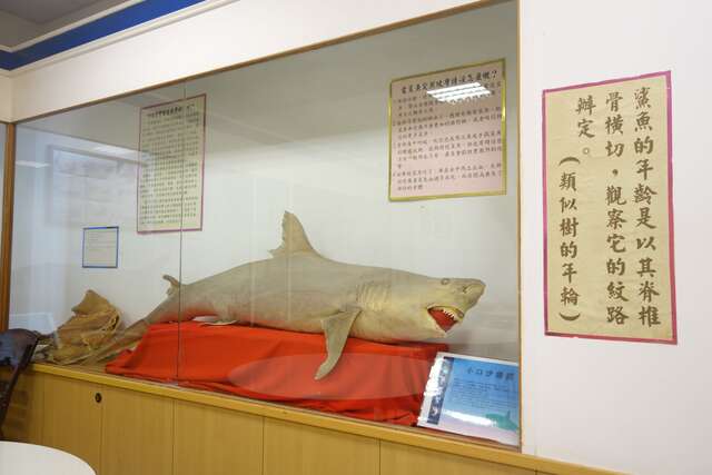 鯊魚黑幫農漁特產專賣店