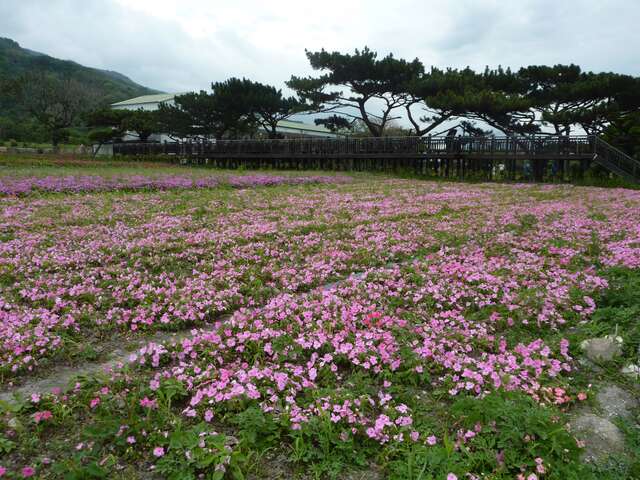 主視覺圖片