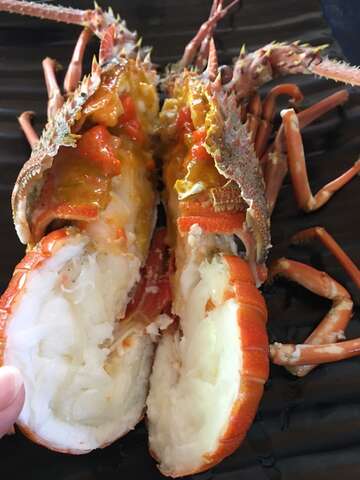 U MI 屋銤海鮮料理