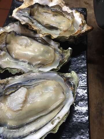 U MI 屋銤海鮮料理