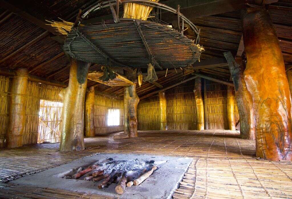 Kiwit tribe