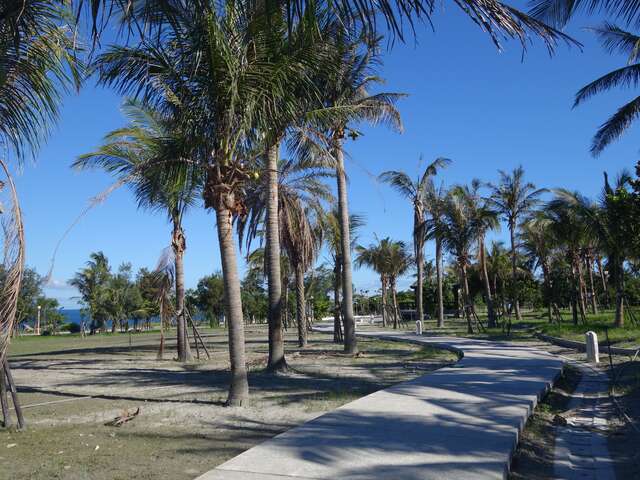 海濱公園步道