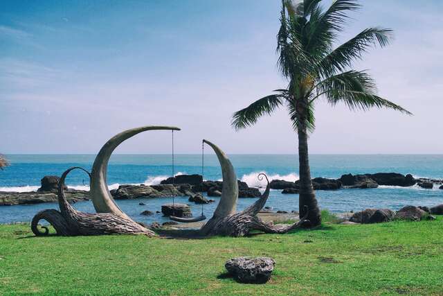 海洋鞦韆