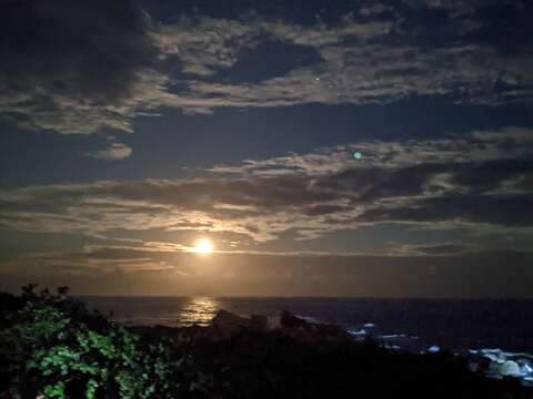 夜訪小野柳