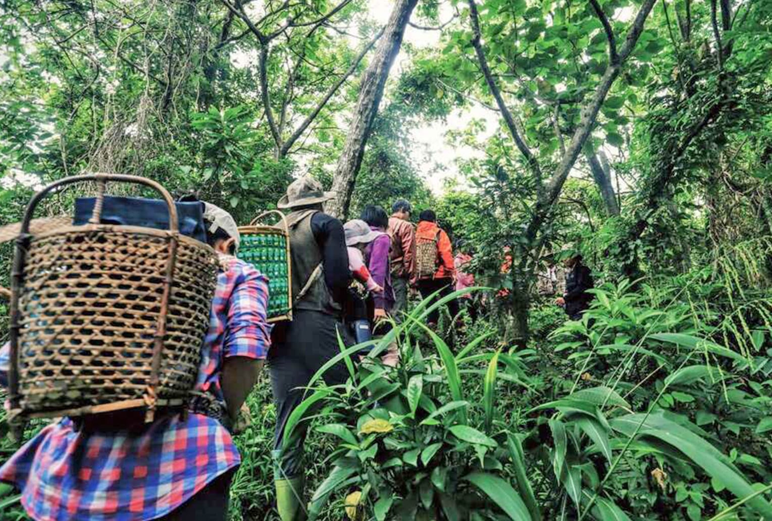 以文化為根，重塑旅遊的主導權