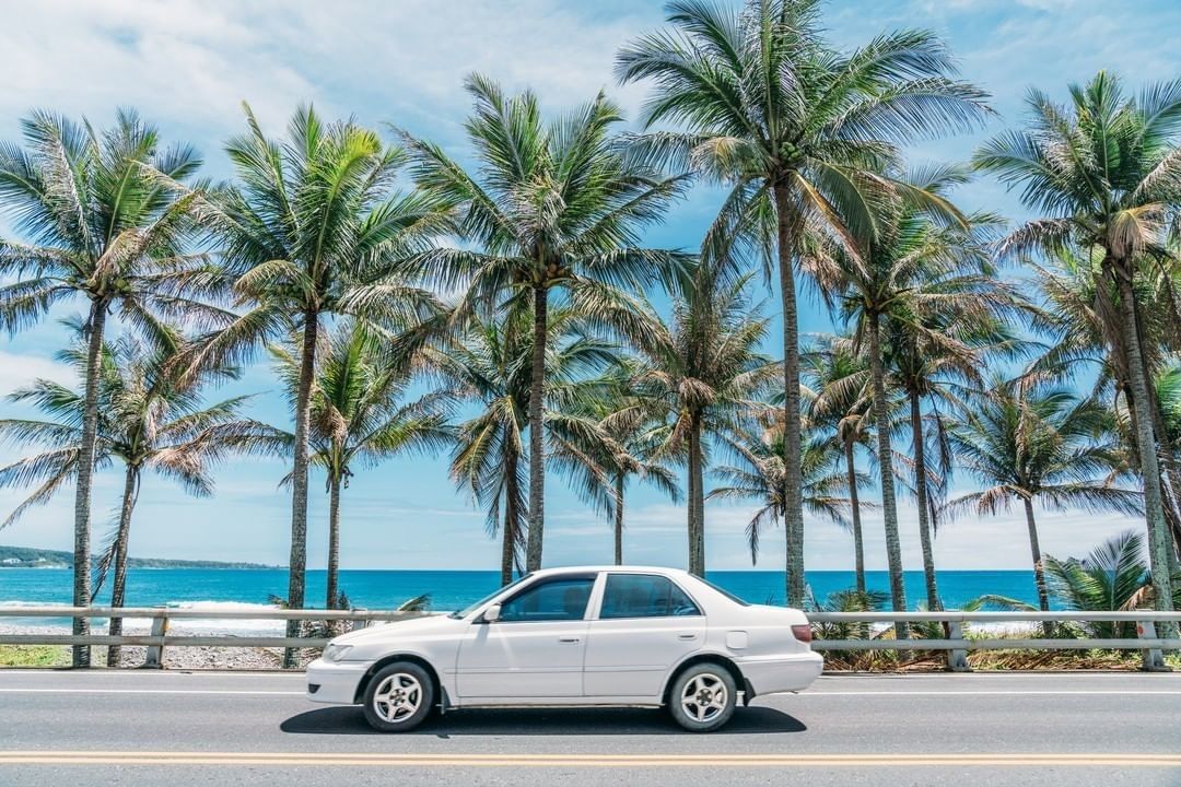 旅行中常常只有自己一人看到的小東西，這種「艷」世，給人很大的快樂。-感謝 @m089571  分享美照☺️-歡迎在您的照片標記我們...