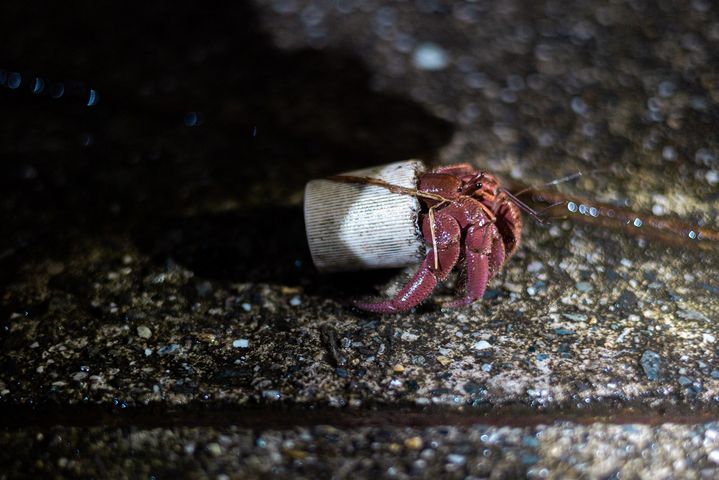 從 夜探三仙台 東部海岸國家風景區觀光資訊網