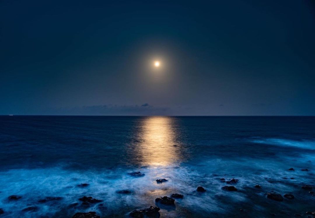 事實告訴我們 昨晚有奪浪漫 有月光海的一整夜 東部海岸國家風景區觀光資訊網