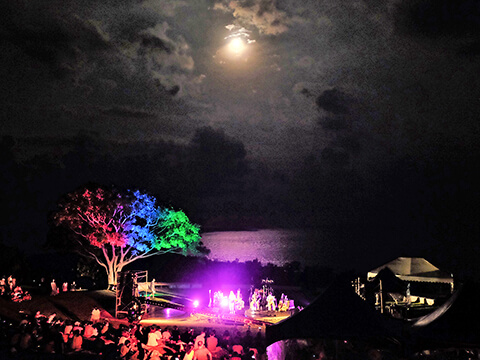 2019大地藝術節月光海音樂會(12)