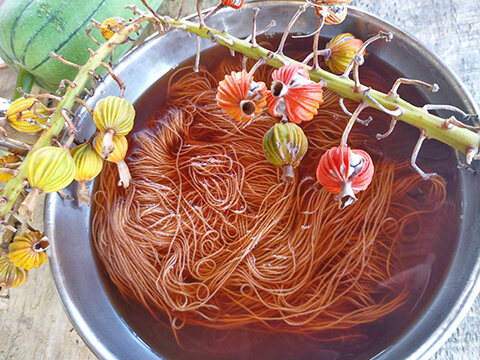 2019大地藝術節月光海音樂會(14)