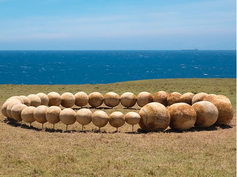 2022大地藝術節作品-菅野麻依子-聯