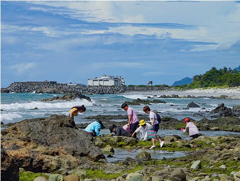 2025大地藝術節-藝文平台-海女採集