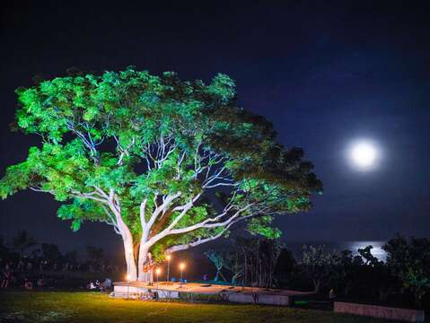 Moonlight Sea Concerts